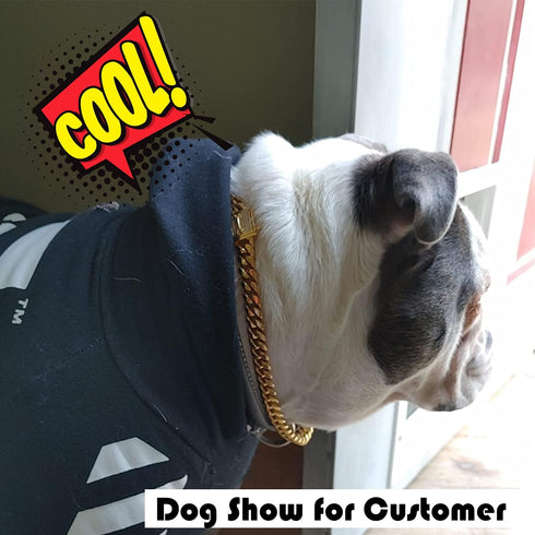 Chain Dog Collar with Zirconia Locking, 12mm 18K Gold Cuban Link Chain, Stainless Steel Luxury Dog Bling Necklace