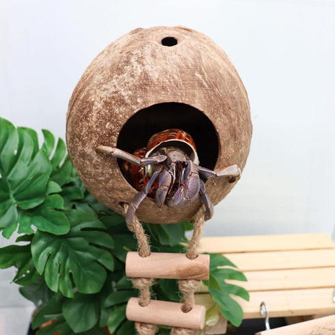 Neeenn Hermit Crab Climbing Toy, Natural Coconut Reptile Hideout with Ladder, Hanging Coconut Reptile House, Cage
