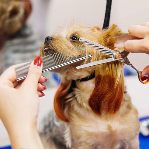 Dog Combs for Grooming, Metal Cat Comb for Removing Tangles and Knots, Professional Tool