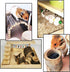 Set Hamiledyi Dwarf Hamster Activity Playground Natural Wood Gerbil Climbing Platform Mice Living Gym System Syrian