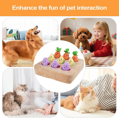 Genrico Dog Snuffle Toy, Squeak Pad - Carrot Dog Snuffle Mat - for Anti-Boredom, Pets All Sizes
