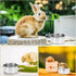 MotBach 2 Pack Stainless Steel Bird Feeding Dish Cups, Pet Cage Cups Holder for Birds and Small Animals