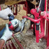 Hoof Trimming Disc, Professional Electric Hoof Repair Tool, Wood Turbo Carving Disc, 6/8 Teeth Metal Hoof Trimming