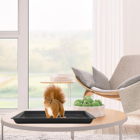 TEHAUX Dog Crate Tray - Replacement Pan for Dog Kennel, Black Plastic Tray for Pet Supplies (43 * 32.5 * 2.5cm)