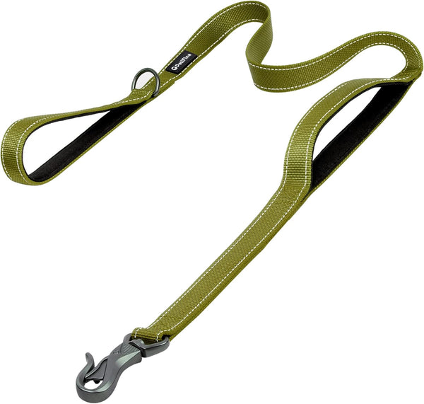 PetiFine 5FT Heavy Duty Dog Leash, Soft Padded Double Handle, Reflective Nylon Walking Lead for Large, Medium, Small