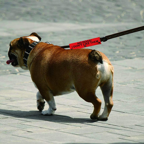 Funny Dog Leash Sleeve No Dogs! I Don't Like Them, Dog Leash Wrap Sleeve Gift