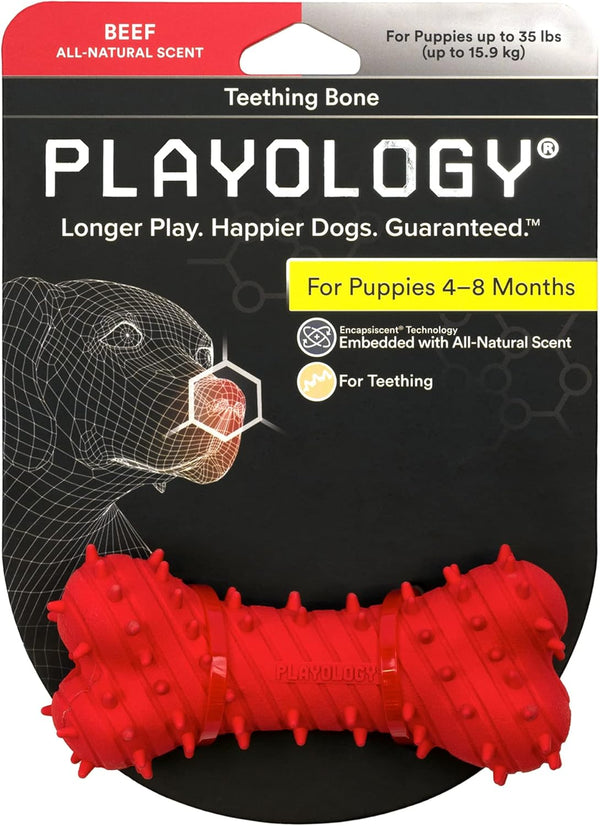 Playology Puppy Teething Bone Dog Toys, Small - Chew Toys with Squeaker for Puppies 4-8 Months, Engaging All-Natural