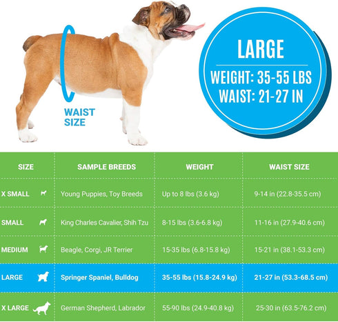 (20 Count) Bodhi Dog Disposable Male Dog Diapers - Super Absorbent, Leak-Proof Pee Wraps - Adjustable Fit, Comfortable