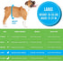 (20 Count) Bodhi Dog Disposable Male Dog Diapers - Super Absorbent, Leak-Proof Pee Wraps - Adjustable Fit, Comfortable