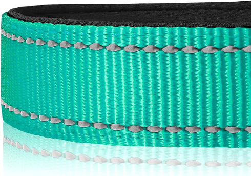 Joytale Reflective Dog Collar - Soft Neoprene Padded Nylon Pet Collar, Adjustable for Medium Dogs, Teal, M