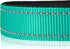 Joytale Reflective Dog Collar - Soft Neoprene Padded Nylon Pet Collar, Adjustable for Medium Dogs, Teal, M