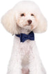 Small Dog Collar & Bandana Set for Puppy Cat, 2pcs PU Leather Canvas Scarf, Durable Blue Classic