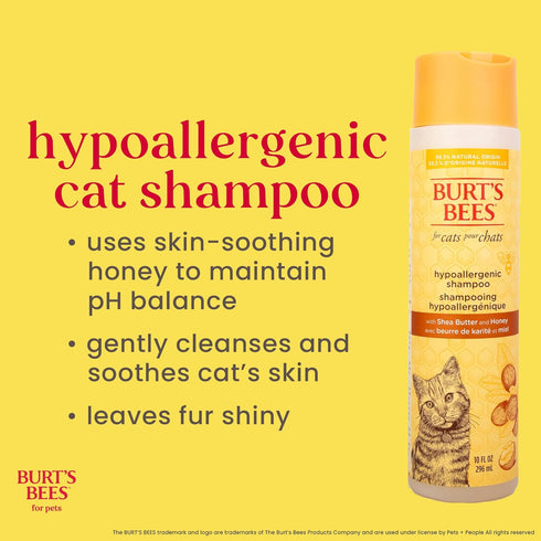 10 Oz Burts Bees for Pets Hypoallergenic Cat Shampoo with Shea Butter and Honey, Gentle Kitten Shampoo for Indoor Cats