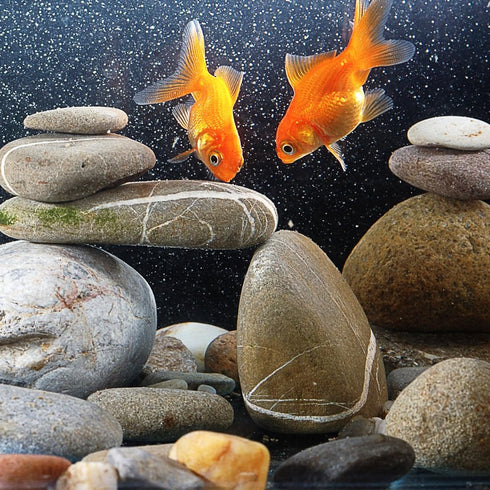 20lbs Natural River Rocks, 3"-4" Premium Pebbles for Fish Tank, Garden, and Landscape Design