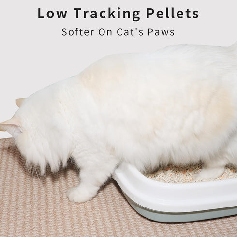 starmiu 2.5kg 100% Flushable Tofu Cat Litter, Vanilla Scented Bag, Natural Plant-Based, Dust-Free, Fast Clumping, Odor