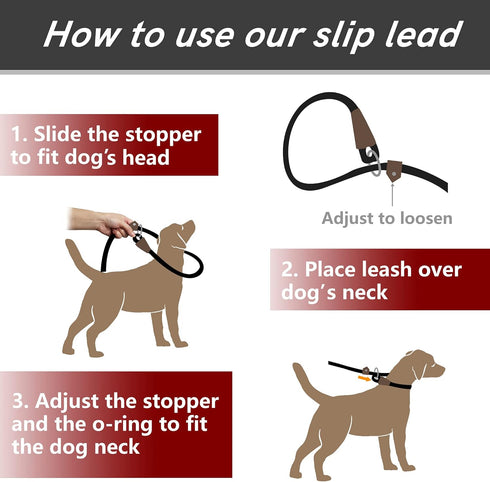 PetiFine 6FT x 1/2" Slip Lead Dog Leash, Reflective Durable Adjustable Nylon Rope for Small Medium Large Dogs (Green)