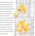 Lyreh 2pcs Bird Toys for Parakeets, Colorful Parrot Toys Spinner Wheel, Fun Interactive Spinning Rattle, Cockatiel