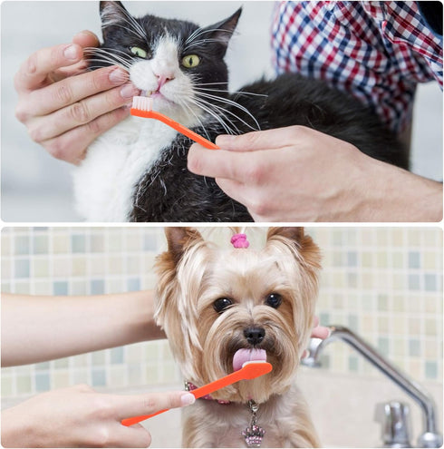 Double Headed Pet Dog Toothbrush for Small Dogs, Soft Bristles Long Handle for Teeth Cleaning, Bulk Toothbrushes