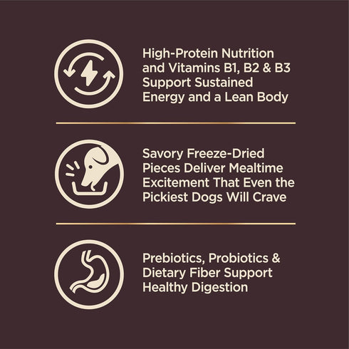 Wellness CORE RawRev Dry Dog Food: Made in USA with Real Freeze-Dried Meat (Adult, Ocean, 4 lbs)
