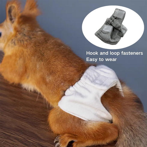 2 Pcs Squirrel Diapers- Reusable Washable Squirrel Diapers Absorbent with Strong & Flexible Pants for Squirrel,Fancy