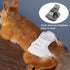 2 Pcs Squirrel Diapers- Reusable Washable Squirrel Diapers Absorbent with Strong & Flexible Pants for Squirrel,Fancy