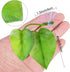 Boao 4 Pieces Betta Leaf Hammock, Betta Fish Pad for Tank Aquarium Spawning Grounds Breeding Resting Bed
