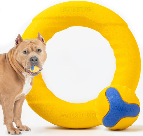 Chew Ring & Fetch Ball Combo for Aggressive Chewers | Heavy-Duty, Ultra-Durable Natural Rubber Toys for Medium to Large