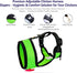 Chicken Harness Hen Size with 6-foot Matching Belt - Adjustable, Comfortable, Breathable, Small Size for Chicken, Duck