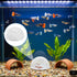 Alrhso 2 Pack Shrimp Hides for Aquarium Shrimp Dome Hide Fish Tank Porous Cave Shelter Hideout Ornament Tunnel Cave