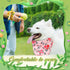Weewooday 50 31.5 21.7 x21.7 Inch) Pcs Spring Dog Bandanas Bulk for Dogs Soft Bibs Adjustable Triangle pet Bandana