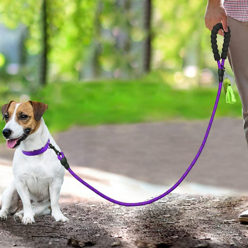 Dynmeow Reflective Dog Collar and Leash Set, Adjustable Pet Collar with Soft Neoprene Padding for Small Medium Dogs