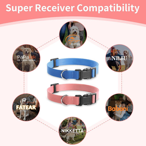 Modern Stylish Nylon Dog Training Replacement Collars, 2-Pack 3/4" Wide 27" Length for Small Medium Large Dogs (Pink
