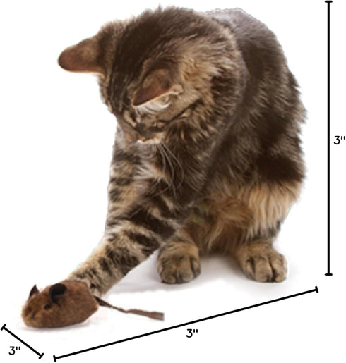 OurPets Play-N-Squeak Mouse Hunter Cat Toys (Interactive Cat Toy & Catnip Toy with Real Mouse Electronic Sound) Perfect