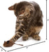 OurPets Play-N-Squeak Mouse Hunter Cat Toys (Interactive Cat Toy & Catnip Toy with Real Mouse Electronic Sound) Perfect