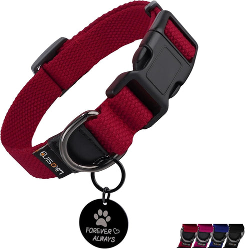 Small Dog Collar for Girl Boy, Cotton Collar for Mini Dogs, Extra Small with Buckle, D-Ring, Removable Tag (9.8"-15.7"