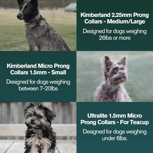 1.5mm Stainless Dog Training Collar for Small Breeds - 8'' Micro Prong Collar for Dogs 6-26lbs, No-Pull Behavior Aid