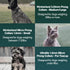 1.5mm Stainless Dog Training Collar for Small Breeds - 8'' Micro Prong Collar for Dogs 6-26lbs, No-Pull Behavior Aid