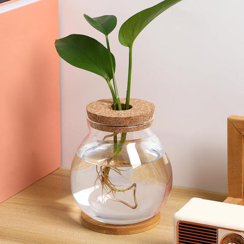 POPETPOP Round Small Fish Bowl, 5.11 x 5.50 Inch Glass Betta Fish Tank with Wood Stopper