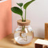 POPETPOP Round Small Fish Bowl, 5.11 x 5.50 Inch Glass Betta Fish Tank with Wood Stopper