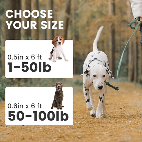 Howgo Leather Dog Leash 6ft - Lightweight Military Grade Heavy Duty Leash for Large, Medium, and Small Dogs