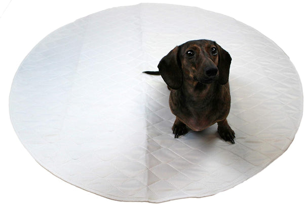 Midlee Washable Whelping & Pee Pad for Dogs - 36" Round, 3 Pack, Pool Puppy Potty Circle Reusable Mat