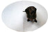 Midlee Washable Whelping & Pee Pad for Dogs - 36" Round, 3 Pack, Pool Puppy Potty Circle Reusable Mat