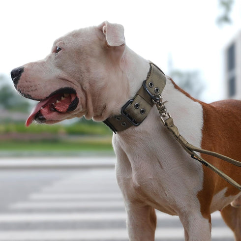 EXCELLENT ELITE SPANKER 1.5" Width Military Dog Collar, Adjustable Metal D Ring & Buckle for Medium Large Dogs