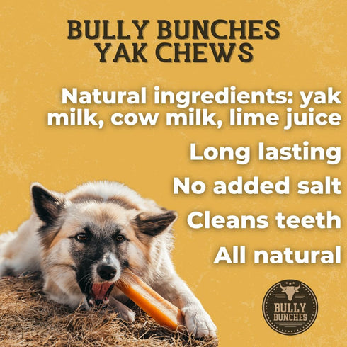 Bully Bunches Mega Authentic Yak Cheese Himalayan Chews for Giant Dogs, All Natural Dental Chews (4 PK)