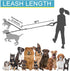 3 Dog Leash No Tangle - Heavy Duty Multiple Dog Lead with Shock Absorbing Bungee and Padded Handle for Medium & Large