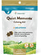 NaturVet Quiet Moments Calming Aid Cat Supplement Plus Melatonin - Reduces Stress in Cats, 50 Ct. Soft Chews