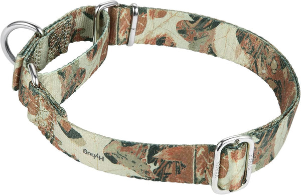 Hyhug Pets Upgraded Escape Proof Martingale Collar for Dogs, Fabulous Collar for Daily Use Walking and Training (Large,
