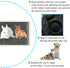 100 kathson Piece Rabbit Pee Pads,Disposable Pet Pees Pad,Cage Black Carbon Liner,Super Absorbent Leak Proof Cushion