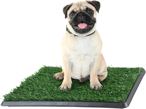 Artificial Grass Puppy Pad with Tray 16x20 inch | Reusable Indoor &
