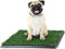 Artificial Grass Puppy Pad with Tray 16x20 inch | Reusable Indoor &